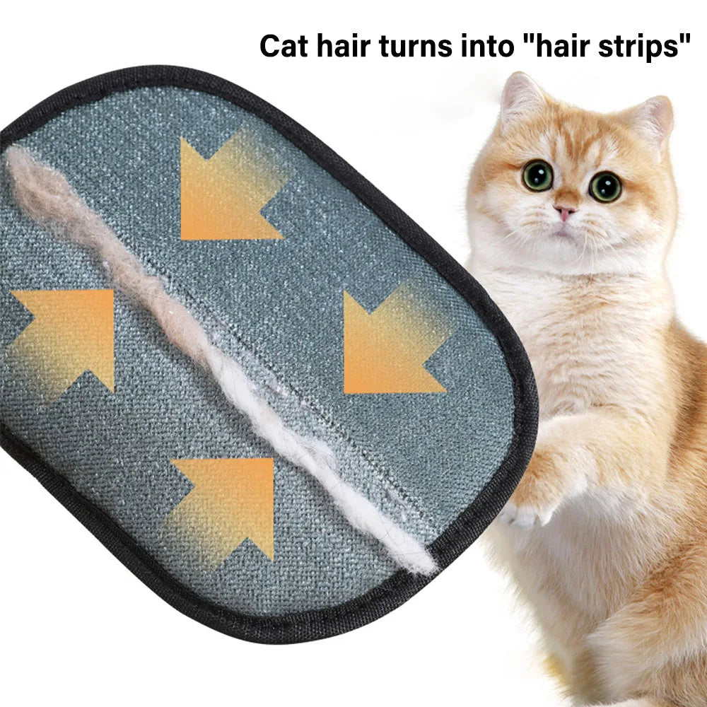 Say Goodbye to Pet Hair in Just 30 Seconds — No More Lint Rollers, Vacuums, or Stress!